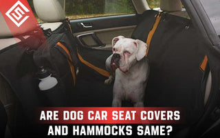 Are Dog Car Seat Covers and Hammocks Same?