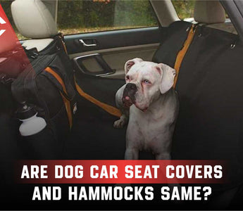 Are Dog Car Seat Covers and Hammocks Same?