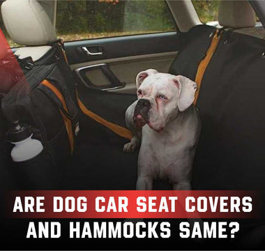 Are Dog Car Seat Covers and Hammocks Same?