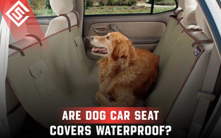 Are Dog Car Seat Covers Waterproof?