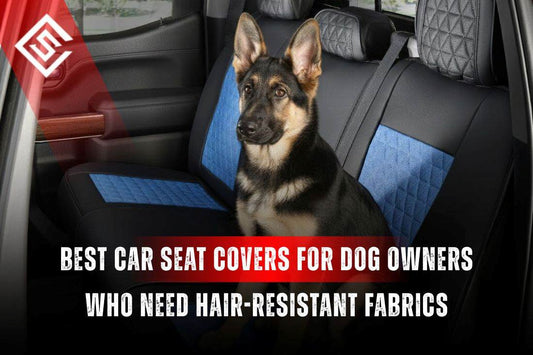 Dog sitting on rear seat with hair-resistant car seat covers designed for dog owners to prevent shedding fur buildup.