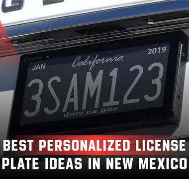 Best Personalized License Plate Ideas in New Mexico