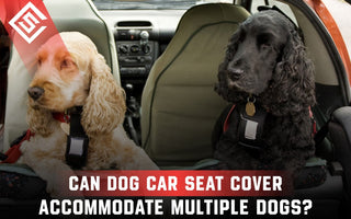 Can a Dog Car Seat Cover Accommodate Multiple Dogs?