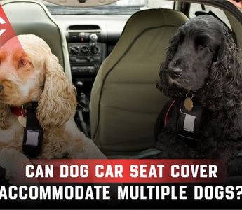 Can a Dog Car Seat Cover Accommodate Multiple Dogs?