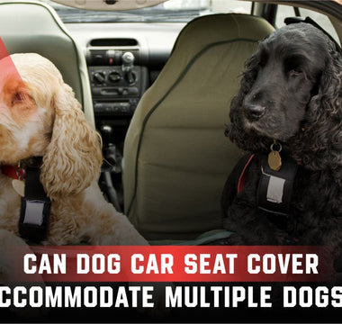 Can a Dog Car Seat Cover Accommodate Multiple Dogs?