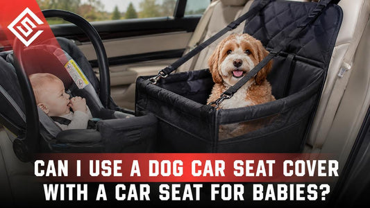 Baby in infant car seat beside dog in hammock-style seat cover, highlighting safe travel concerns for pets and babies.