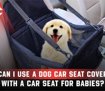 Can a Dog Car Seat Cover Be Used with a Baby Car Seat?
