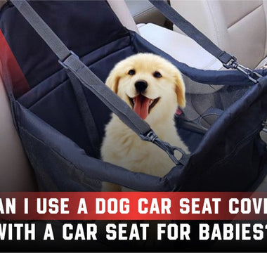Can a Dog Car Seat Cover Be Used with a Baby Car Seat?