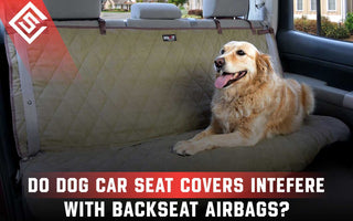 Do Dog Car Seat Covers Interfere with Backseat Airbags?