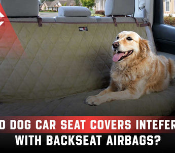 Do Dog Car Seat Covers Interfere with Backseat Airbags?
