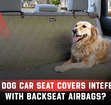 Do Dog Car Seat Covers Interfere with Backseat Airbags?