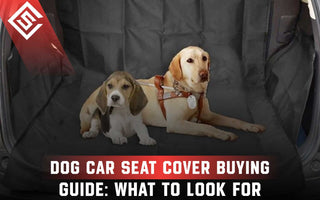 Dog Car Seat Cover Buying Guide