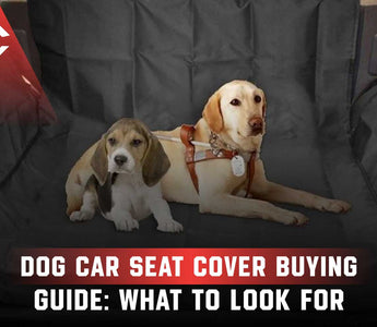 Dog Car Seat Cover Buying Guide