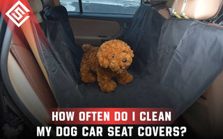 How Often Should Dog Car Seat Covers Be Cleaned?