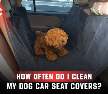 How Often Should Dog Car Seat Covers Be Cleaned?