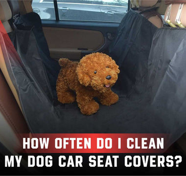 How Often Should Dog Car Seat Covers Be Cleaned?