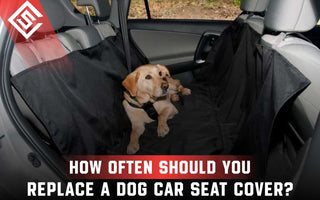 How Often Should You Replace a Dog Car Seat Cover