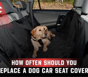 How Often Should You Replace a Dog Car Seat Cover