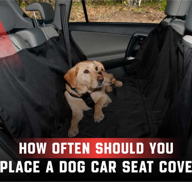 How Often Should You Replace a Dog Car Seat Cover
