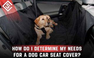How to Determine Your Needs for a Dog Car Seat Cover?