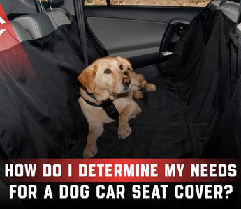 How to Determine Your Needs for a Dog Car Seat Cover?