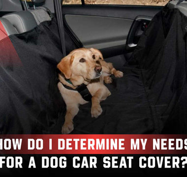 How to Determine Your Needs for a Dog Car Seat Cover?