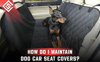 How Do I Maintain Dog Car Seat Covers?