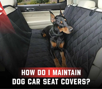 How Do I Maintain Dog Car Seat Covers?