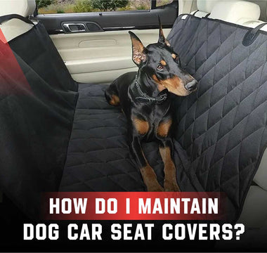 How Do I Maintain Dog Car Seat Covers?