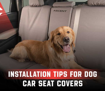 Installation Tips for Dog Car Seat Covers