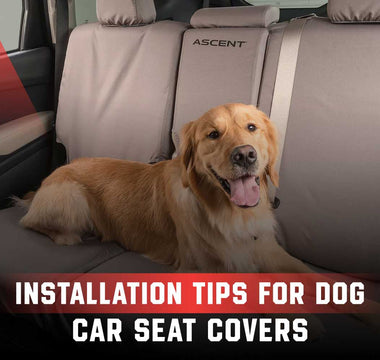 Installation Tips for Dog Car Seat Covers