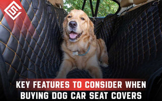 Key Features to Consider When Buying Dog Car Seat Covers