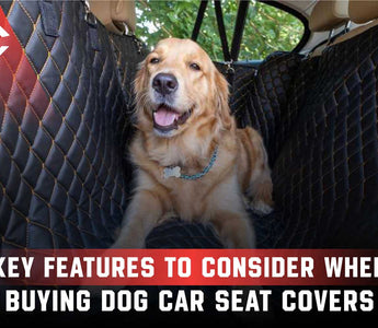 Key Features to Consider When Buying Dog Car Seat Covers