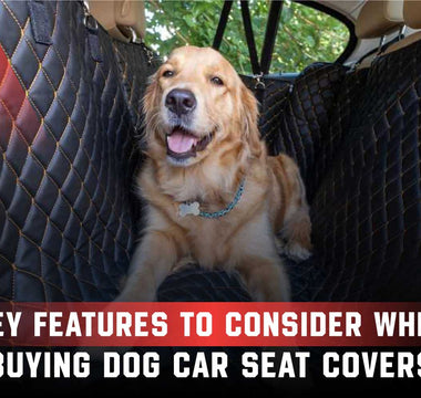 Key Features to Consider When Buying Dog Car Seat Covers