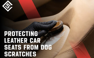 Protecting Leather Car Seats from Dog Scratches
