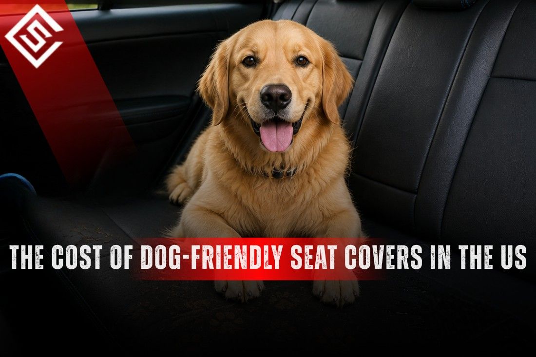 Golden retriever on a car back seat highlighting affordable dog-friendly seat cover options in the US market today.