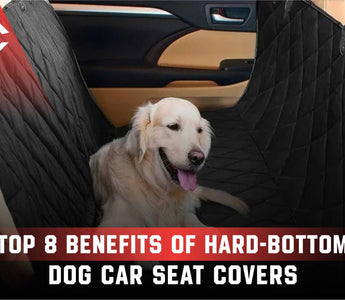 Benefits Of Hard-Bottom Dog Car Seat Covers