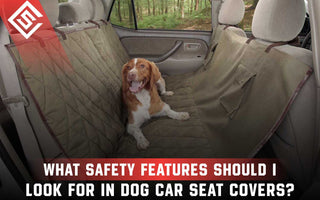 What Safety Features Should I Look For in Dog Car Seat Covers