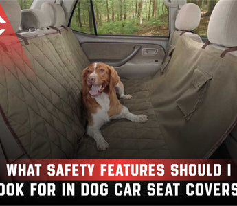 What Safety Features Should I Look For in Dog Car Seat Covers