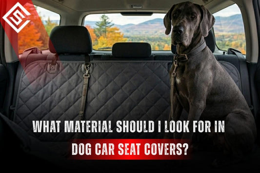 Great Dane sitting on a quilted dog car seat cover, highlighting durable waterproof materials for pet travel comfort.