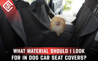 What Material Should I Look For in Dog Car Seat Covers?