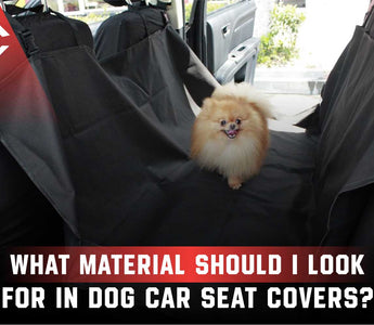 What Material Should I Look For in Dog Car Seat Covers?