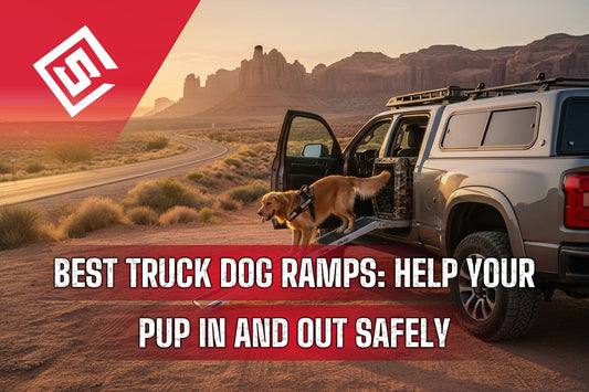 Best Truck Dog Ramps: Help Your Pup In and Out Safely